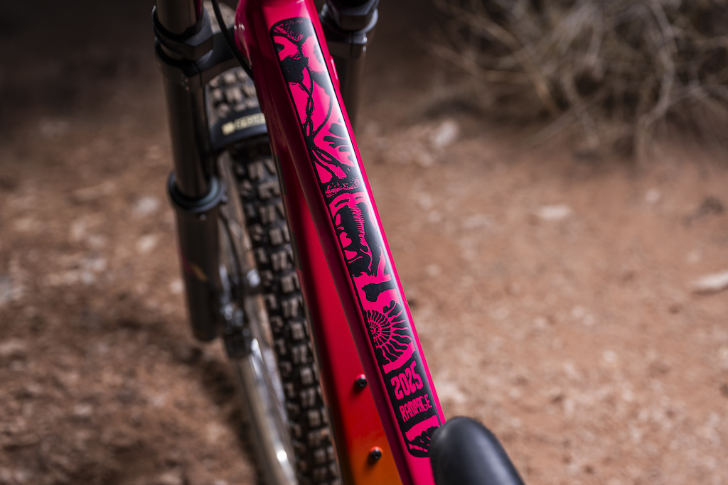 CJ: "the crinoids on the top tube: these ancient sea lilies that look like plants but are actually underwater animals still alive today. I’ve always thought they were the coolest, most alien-looking creatures—so having them on my bike makes it feel extra personal. Total nerd move, but I love it