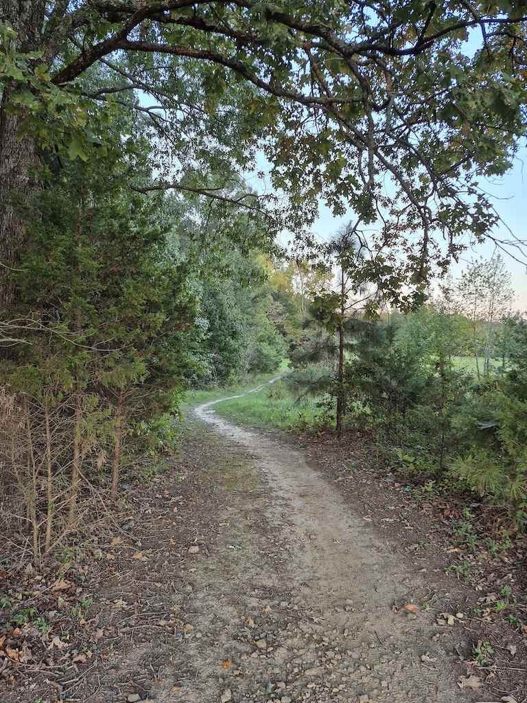 A winding dirt trail through deciduous forest with rocky surface.