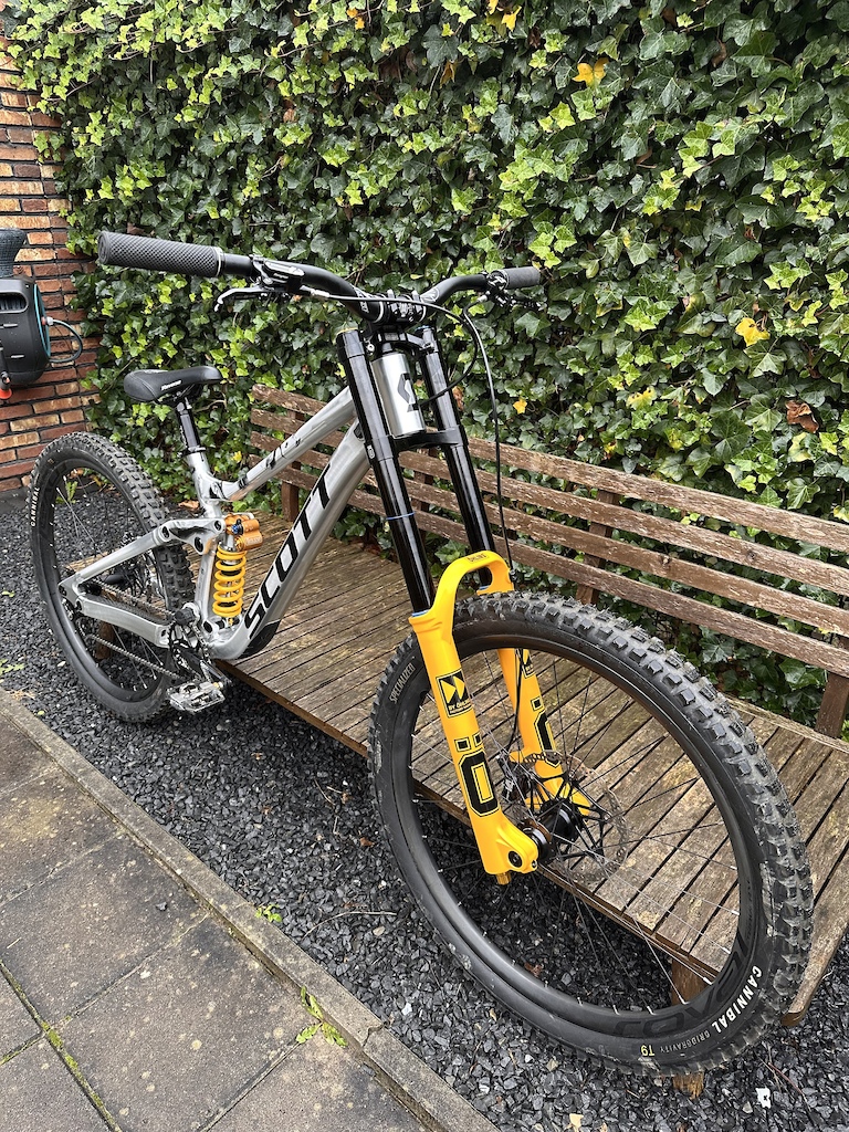 Scott Gambler 2025