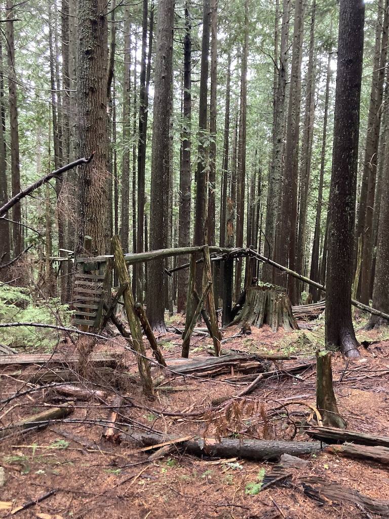 relic hunting