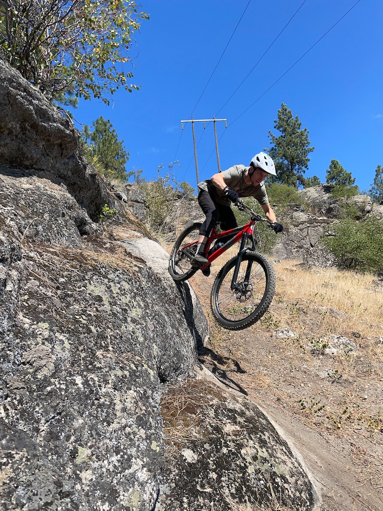 A mountain biker launching off a large rock feature on a trail through a pine forest.