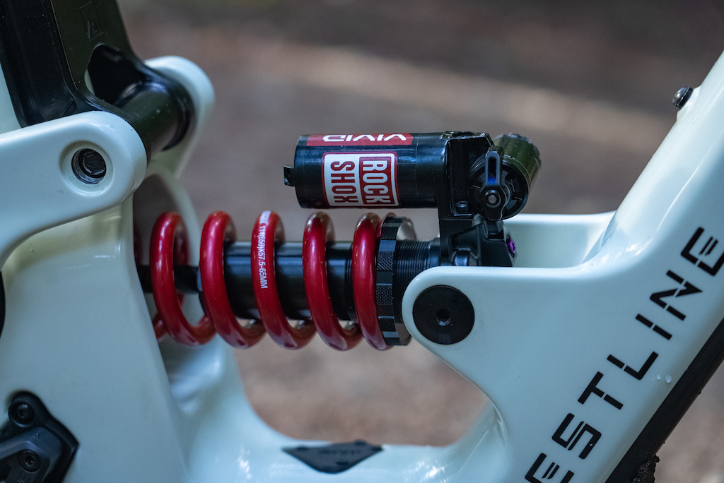 Alden Pate Crestline RS 200 DH Bike Check