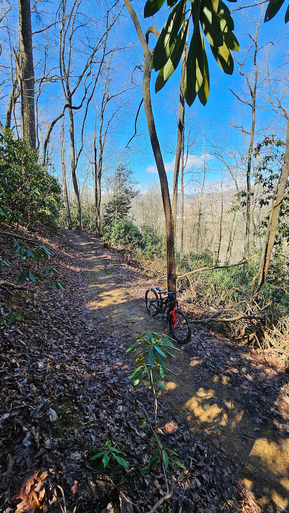 A mountain bike on a shaded forest trail with dappled sunlight and vegetation.