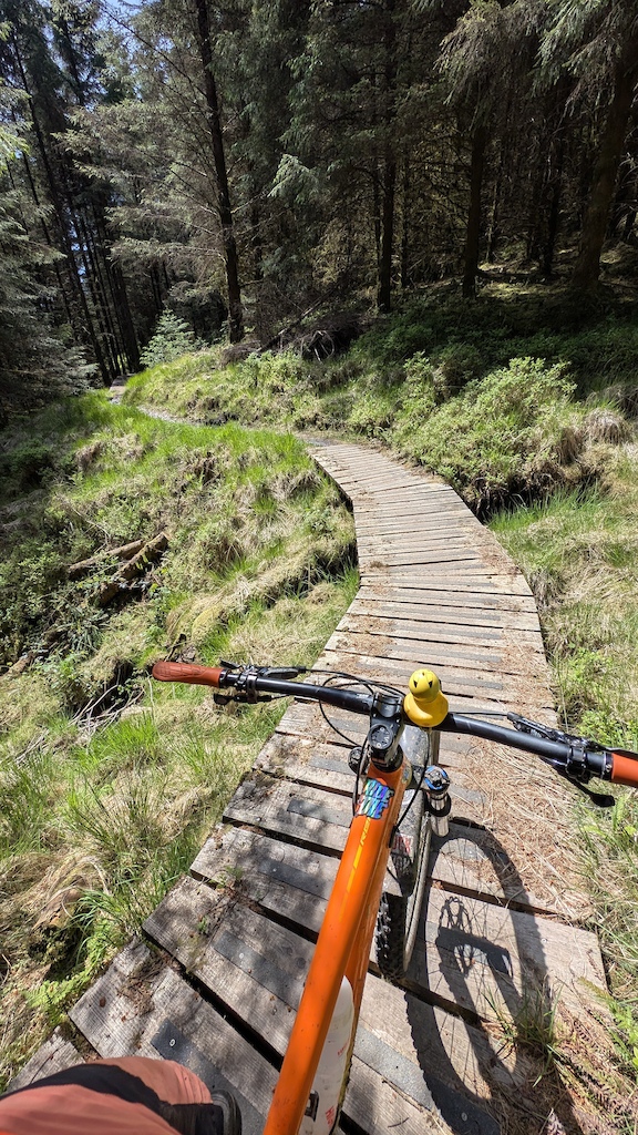 A mountain bike handlebar view on a wooden boardwalk trail through dense forest.