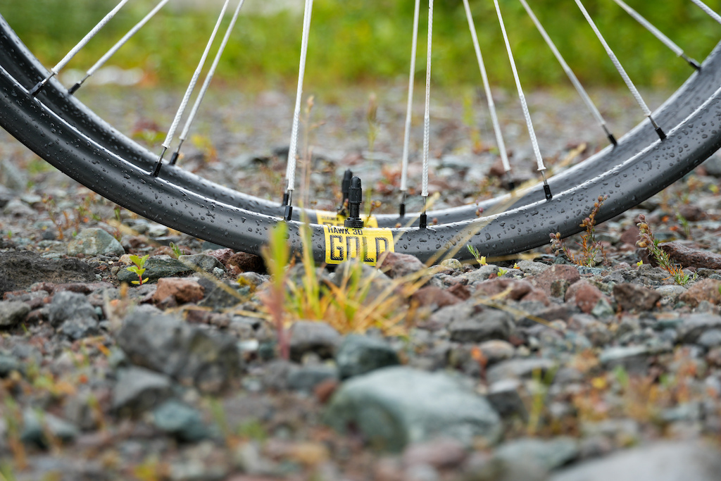 Review: Berd Hawk 30 Gold Wheels – Ultra-Light and Subtly Forgiving ...