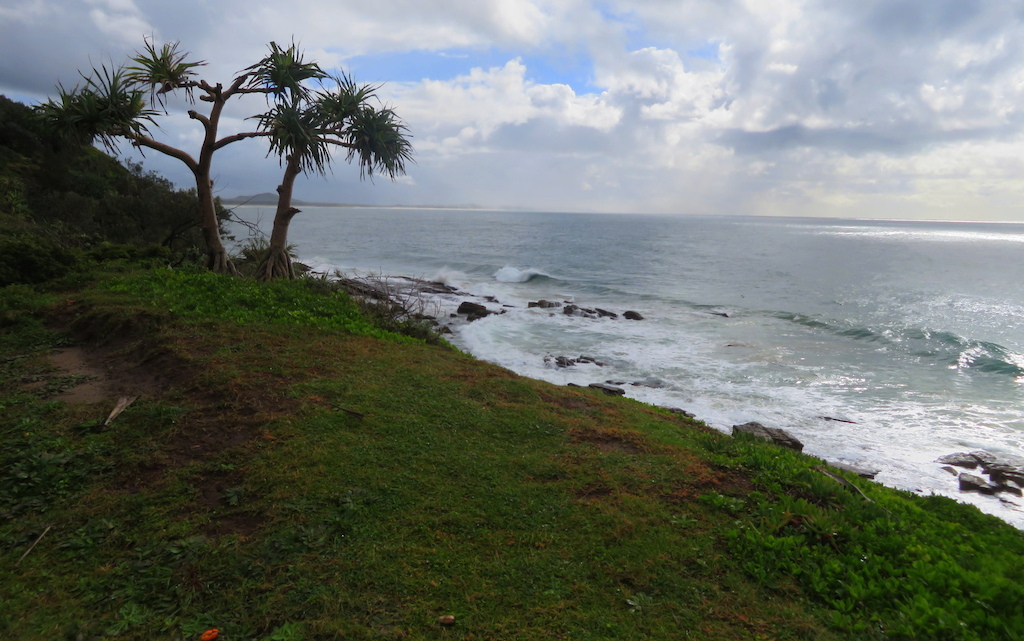 A coastal trail with ocean views, palm trees, and grassy terrain overlooking waves and rocky shoreline.