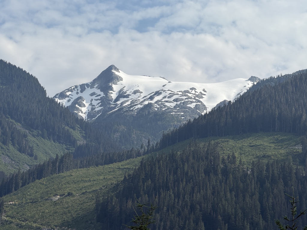 A snow-capped mountain peak visible across a forested valley with evergreen trees.