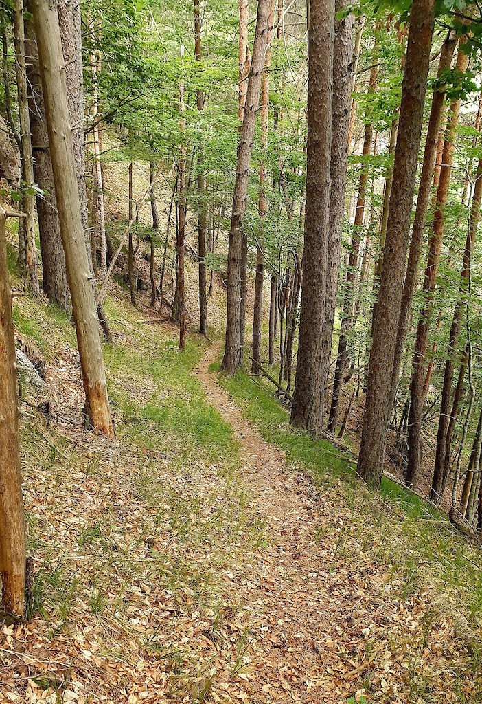 first half of trail is really easy and straight