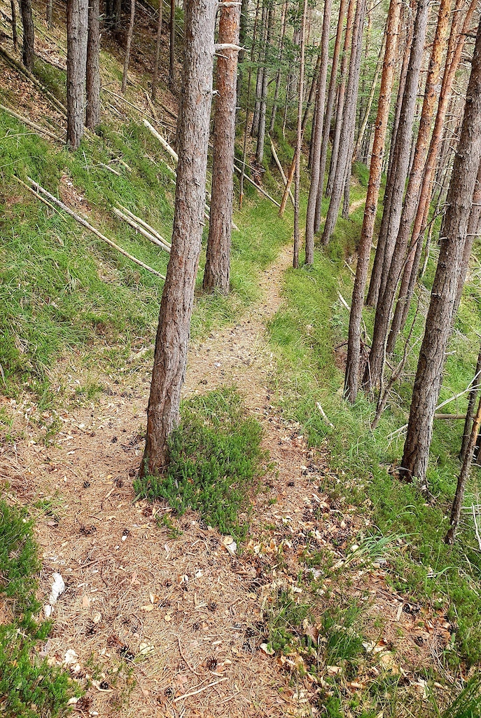 first half of trail is really easy and straight