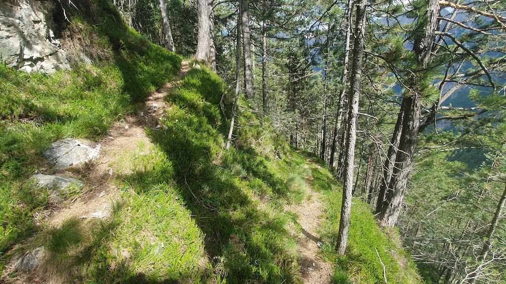 first half of switch backs are in steep terrain, only for experienced nose pressers!