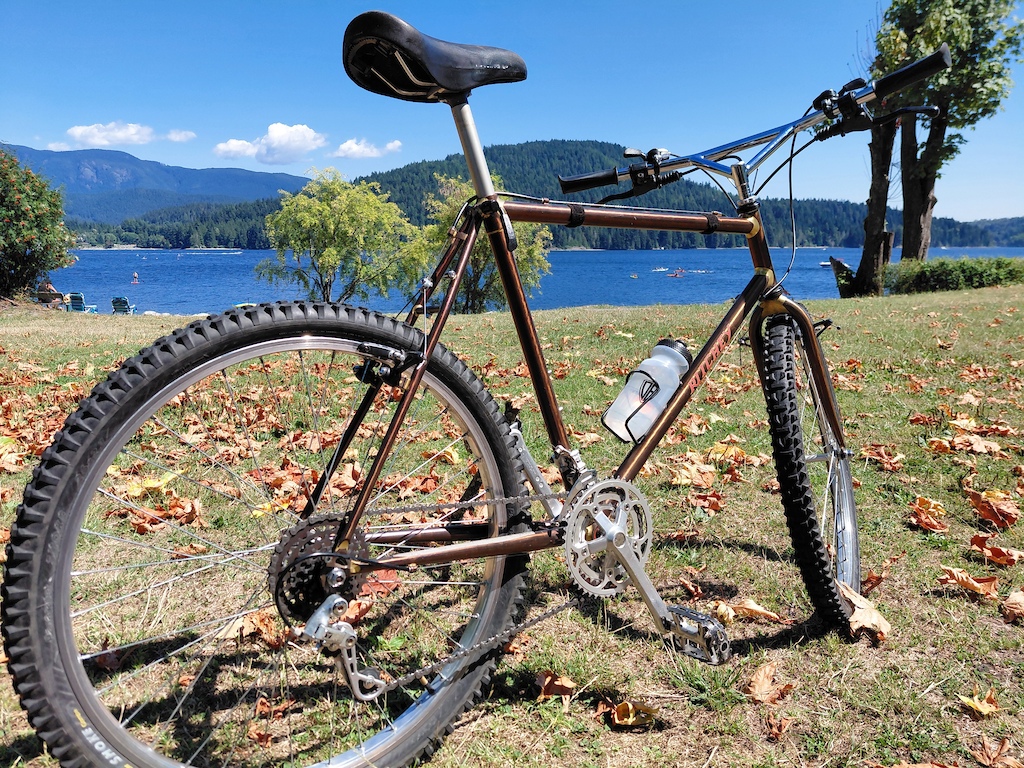 Ritchey timberwolf