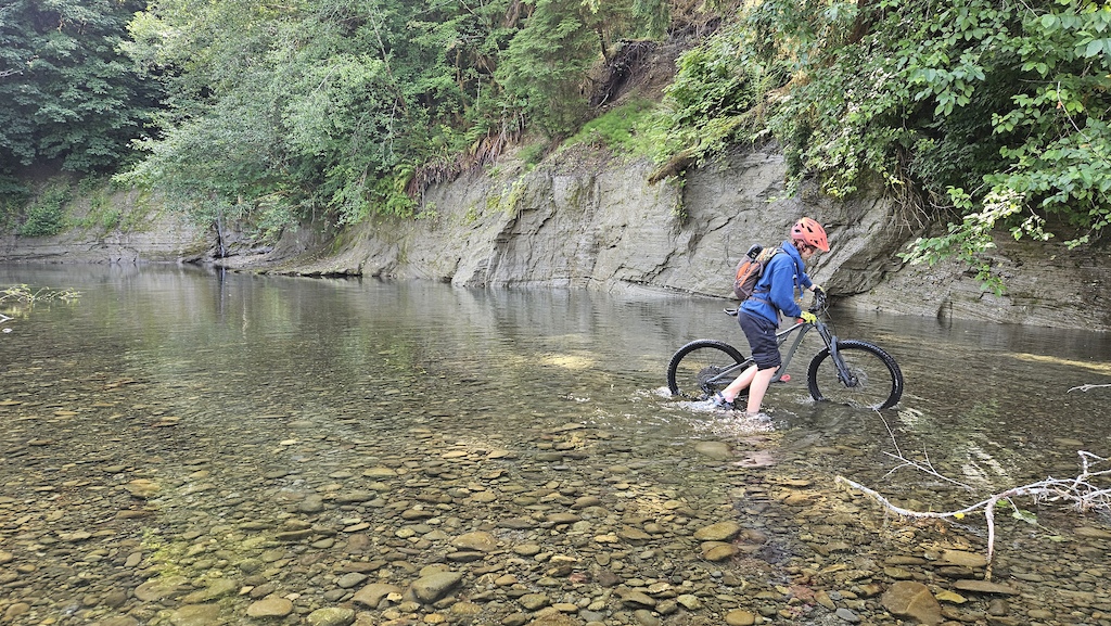 A mountain biker riding through a shallow creek with forested banks and rocky terrain.