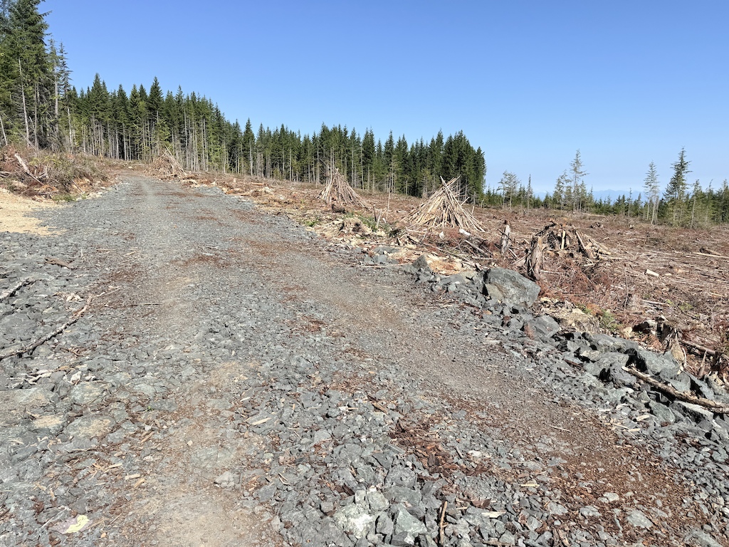 A gravel trail through logged forest with volcanic terrain and remaining conifers visible.