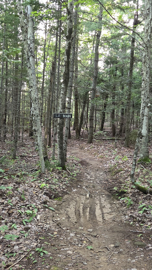 Trail entrance from the hub.