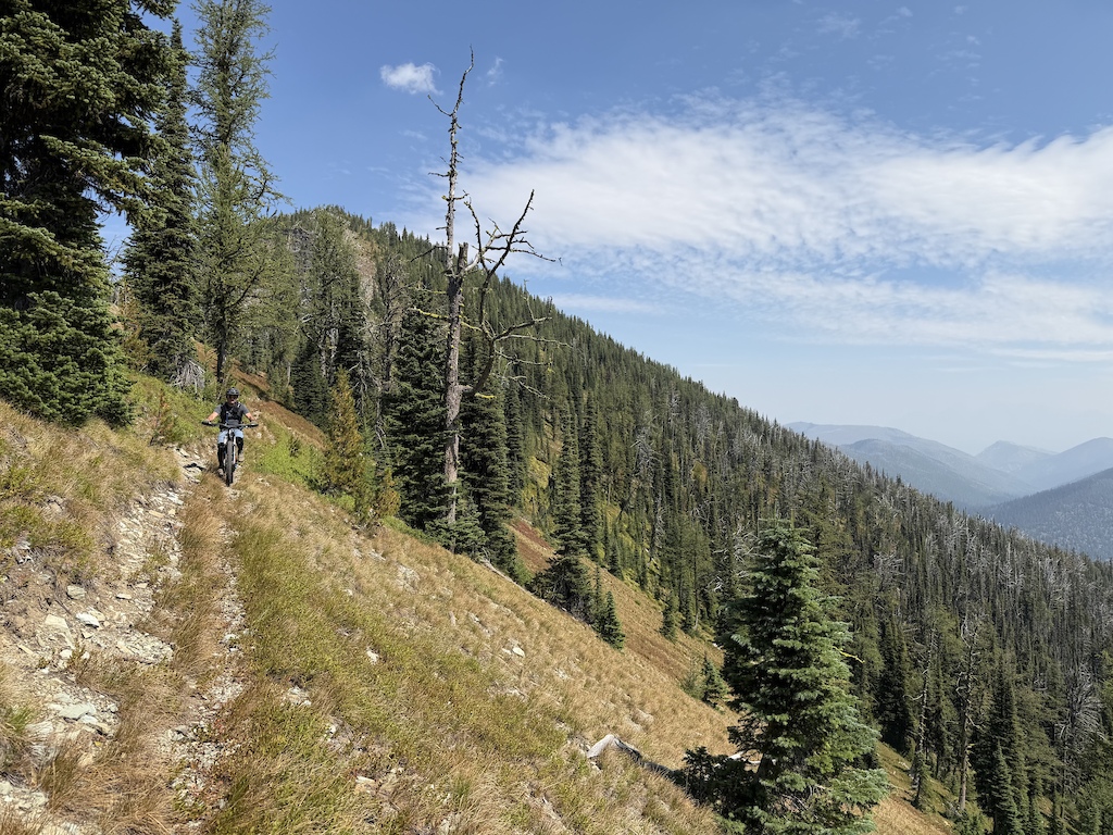 A hiker on a grassy mountainside slope with coniferous forest and mountain views.