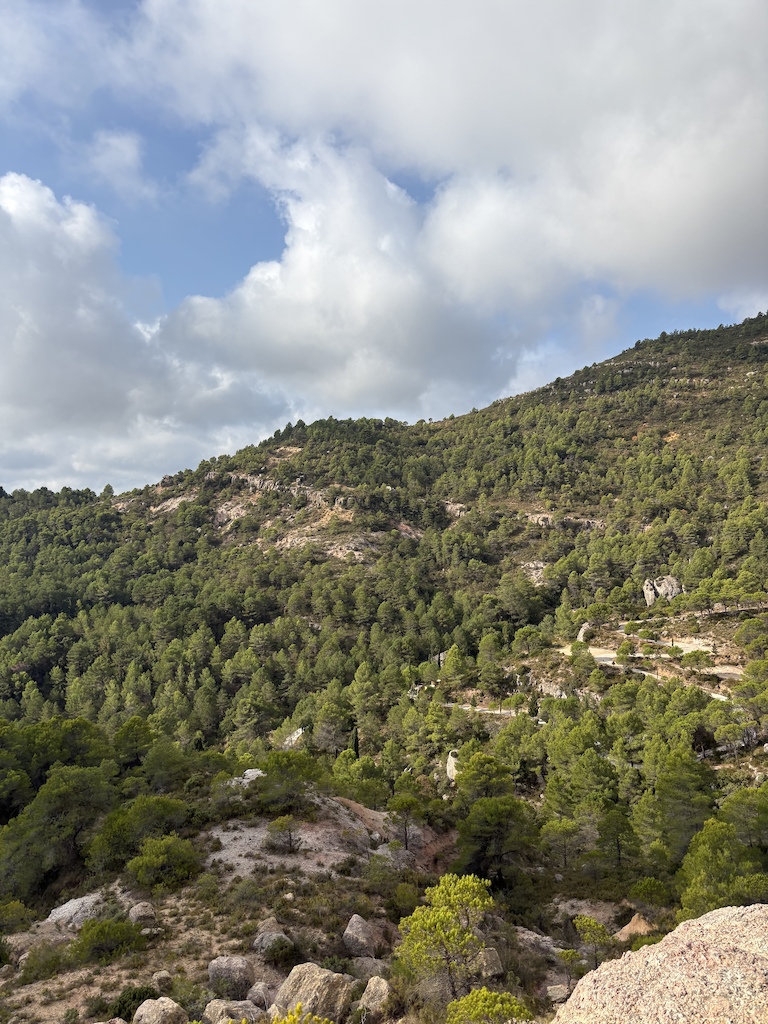A forested hillside with rocky outcrops and scattered trees beneath cloudy sky.