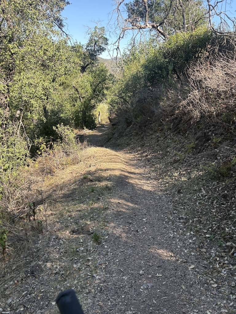A person riding on a shaded forest trail with green vegetation on both sides.