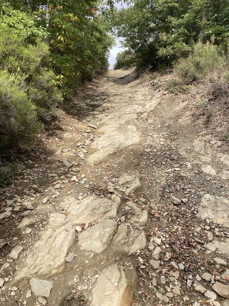 A rocky uphill trail through dry shrubland with scattered trees and boulders.
