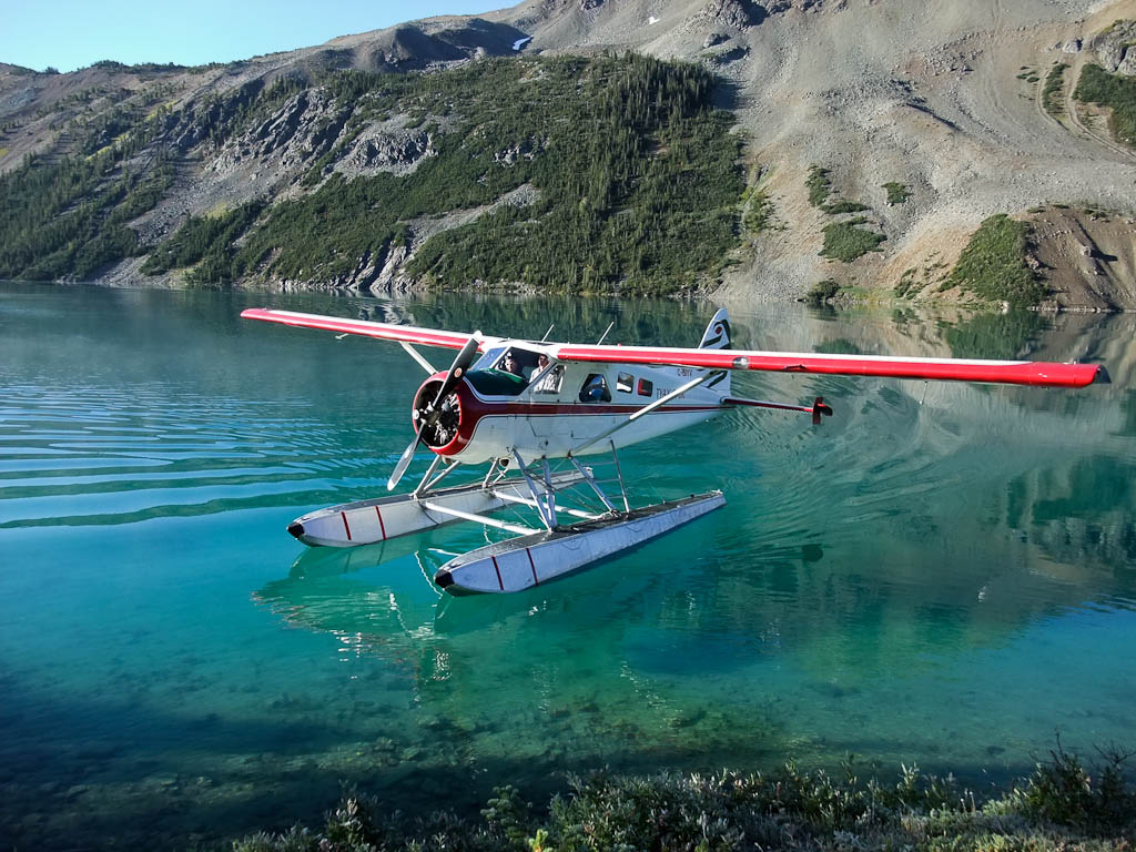 Bluebird Tyax Riding