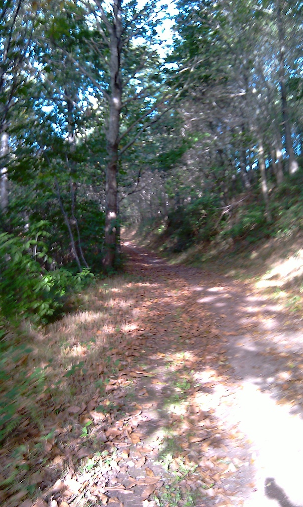 Petit Arrêt