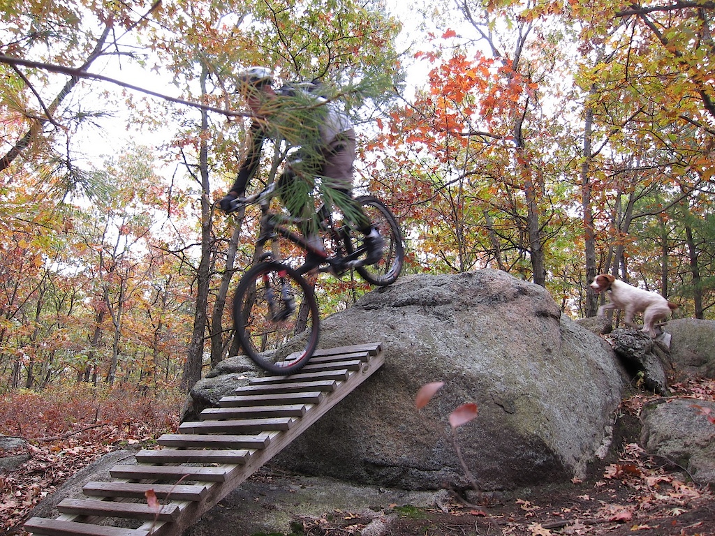 Over the boulder and through the woods