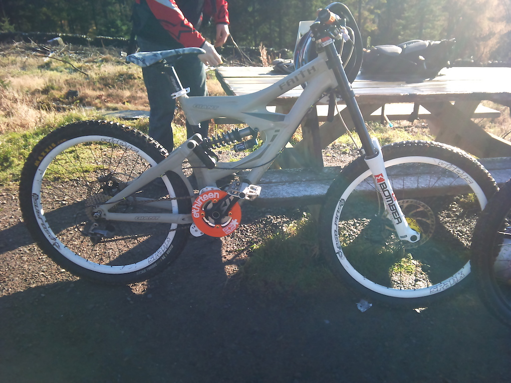 ridding at the tress