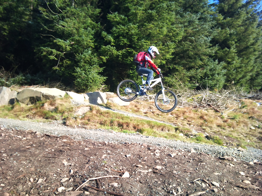 ridding at the tress