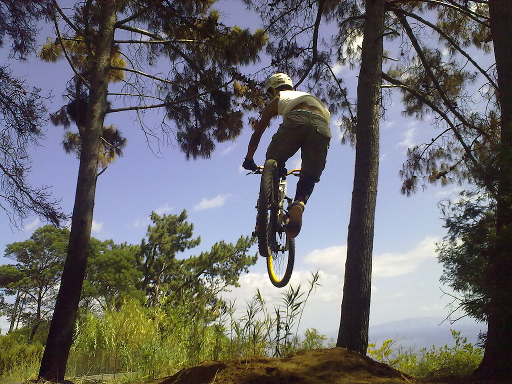 Whip