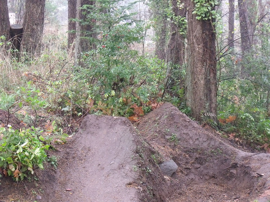 digging and building