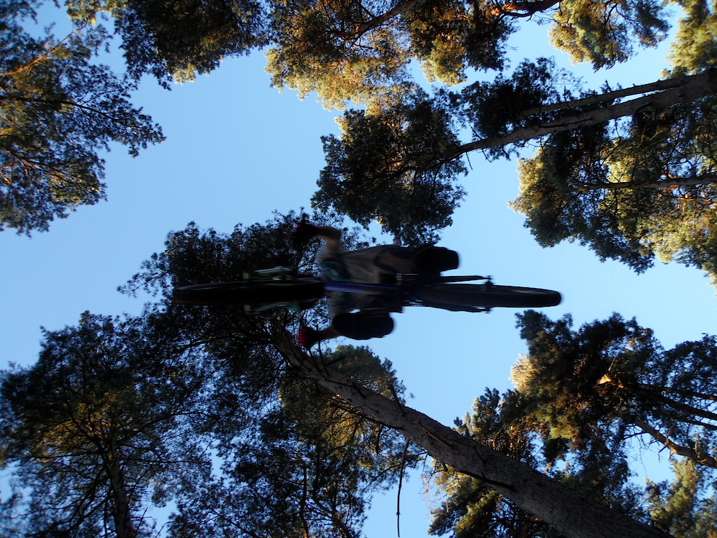 Dirt Jumps at Chicksands