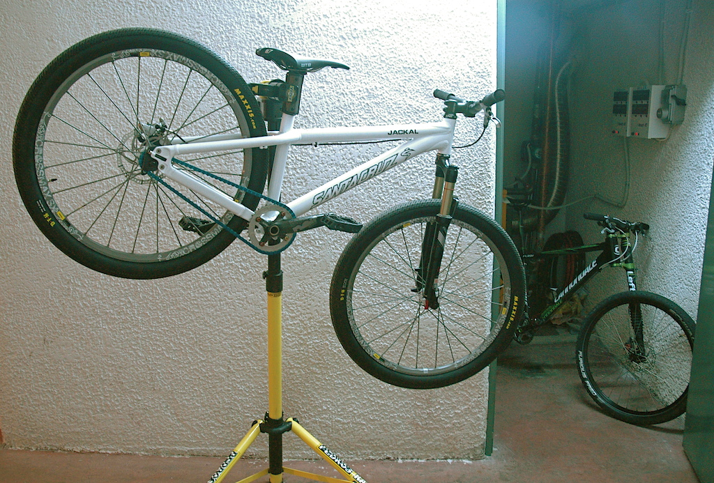 Santa Cruz Jackal DJ/4x bike