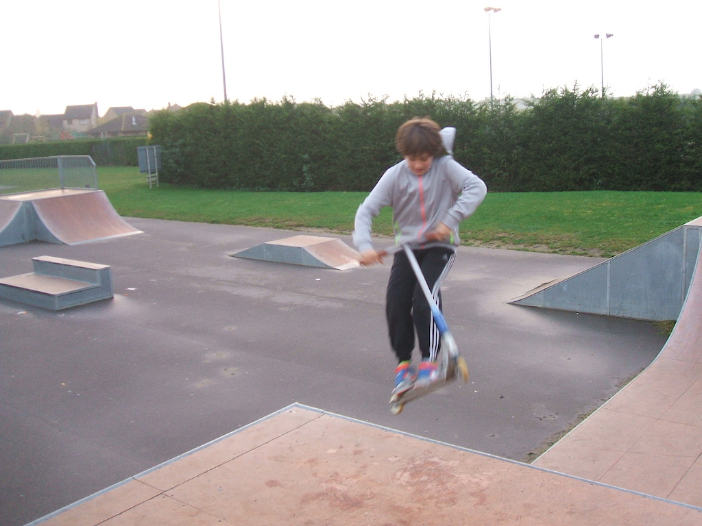 whip