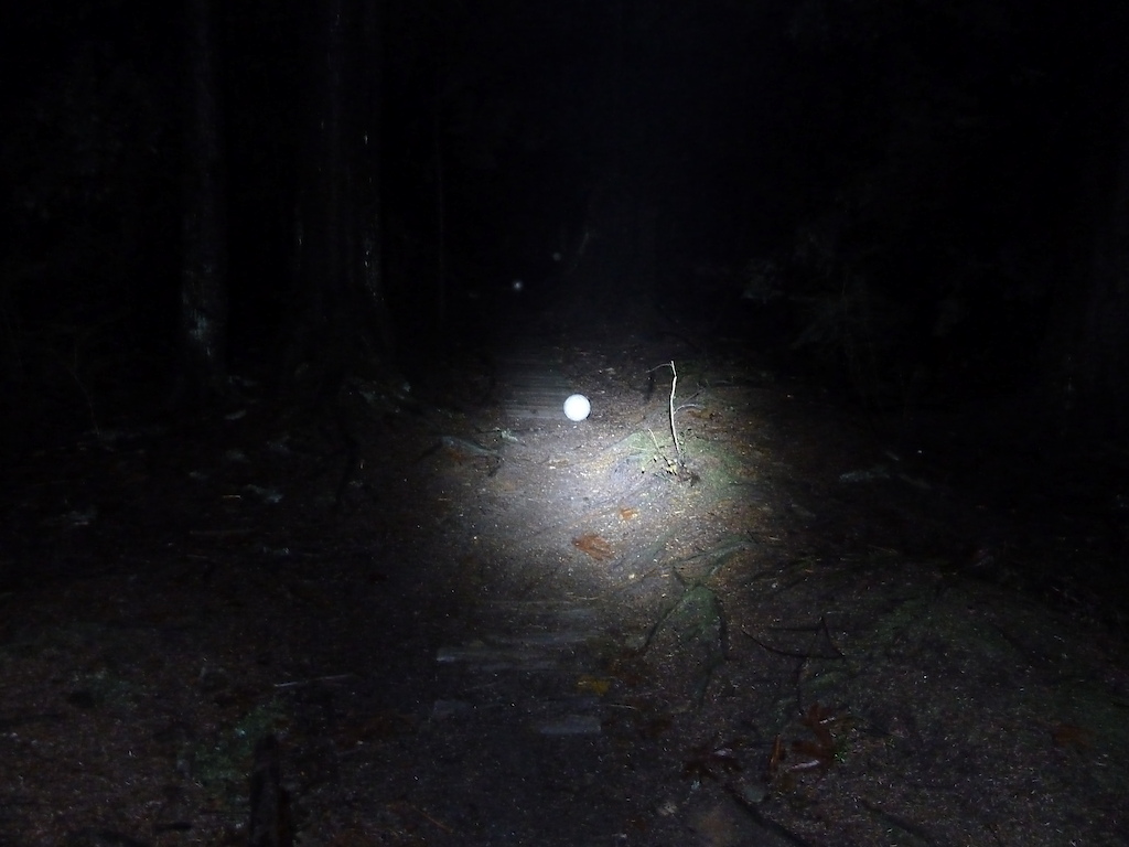 Gemini Titan LED lamp test, looking down Jim's Jungle trail, High beam,  helmet mounted,1600 iso. First ball is at 5m, 2nd at 10m, 3rd at 15m. #3 of 5, in sequence.