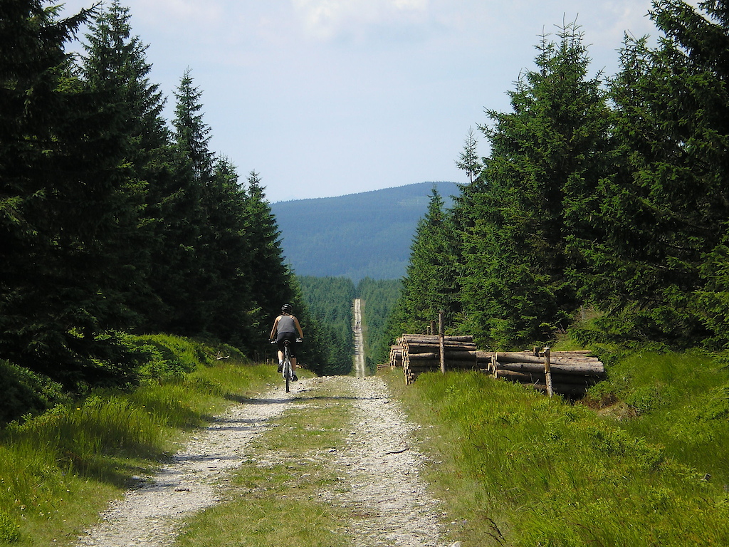 2008