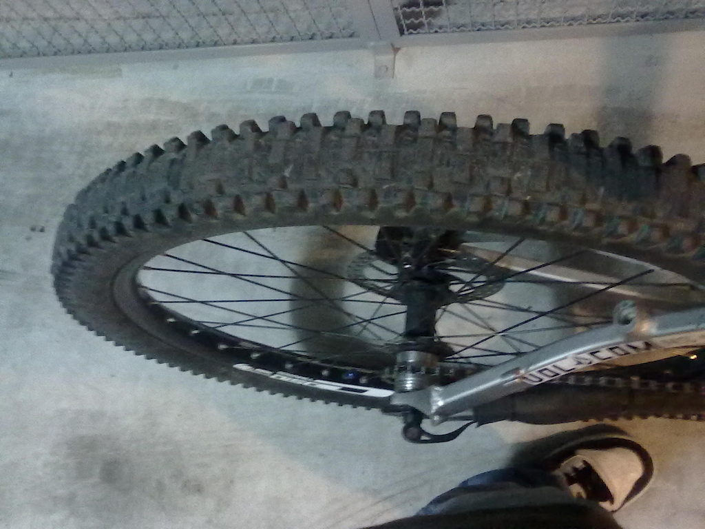 rodi DH e single speed