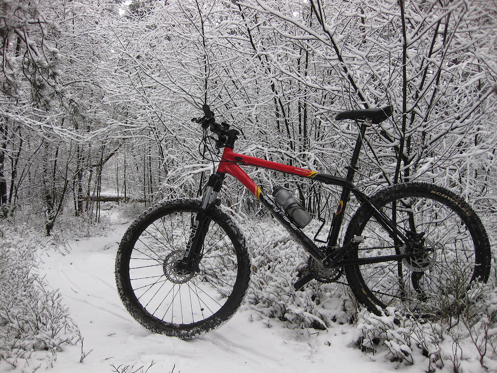 Local singletrack