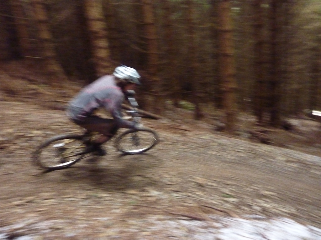 Berms on the North Loop in the trees