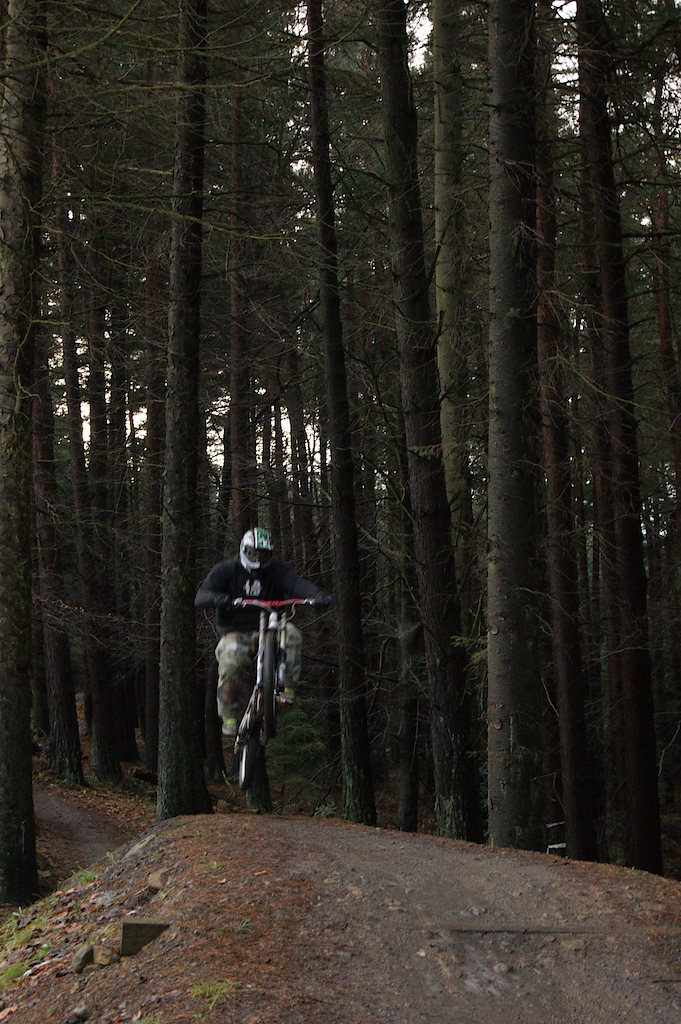 shredding