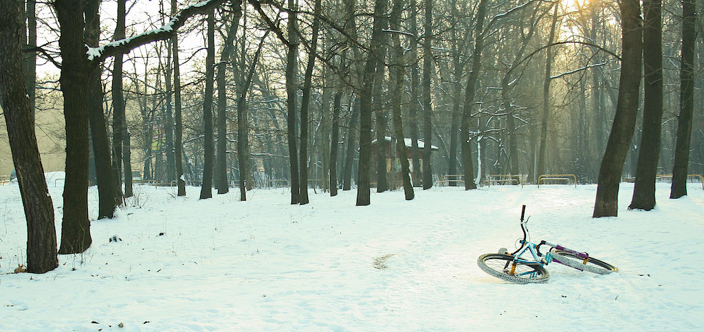 Winter