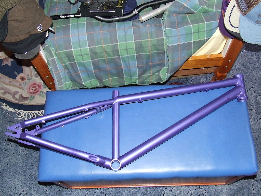 revell 250r custom purple