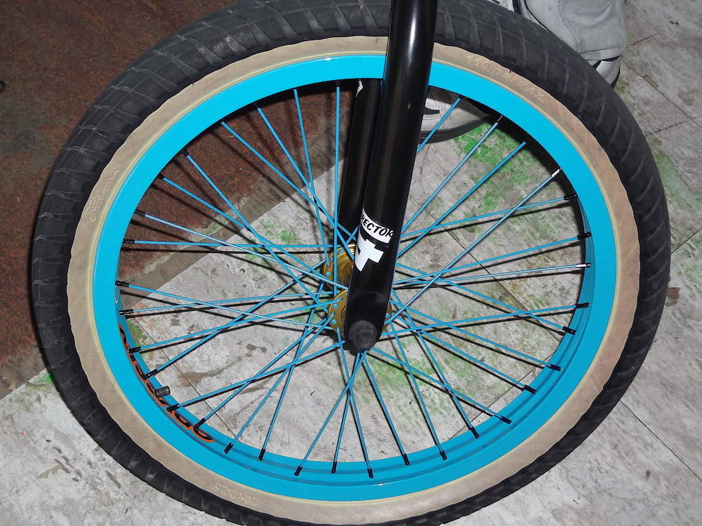 Vandero2 Front Hub Gold Laced To Odyssey 7KA LE Ocean Blue With Matte Blue Shadow Con 14G Spokes and Black Nipples