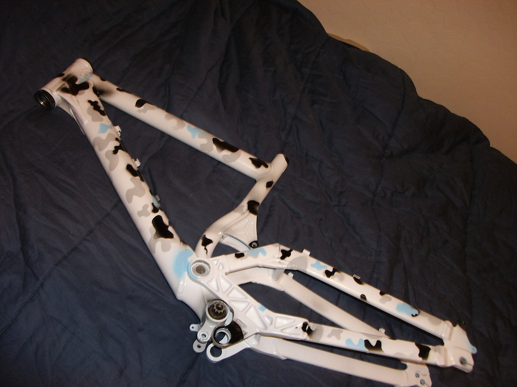 fresh custom paint on the giant dh team..... snow camo