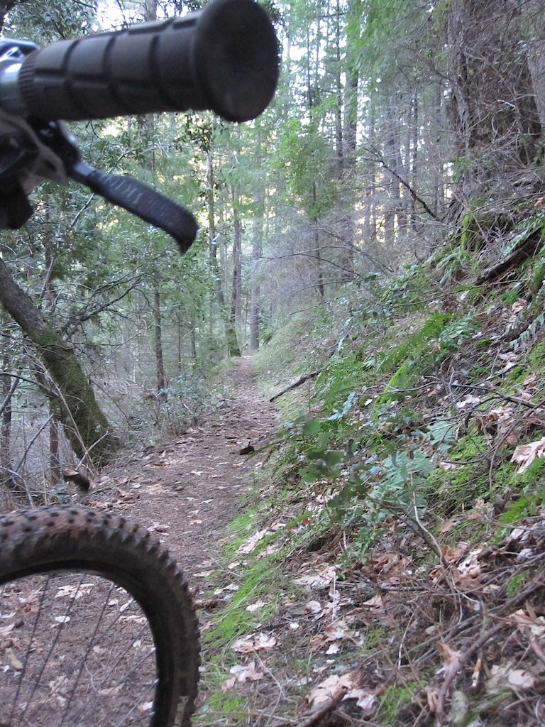 Paused to take a picture of this sketchy and very fast trail I was descending.