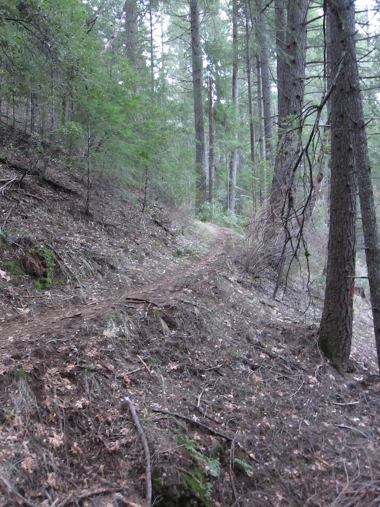 Paused to take a picture of this sketchy and very fast trail I was descending.