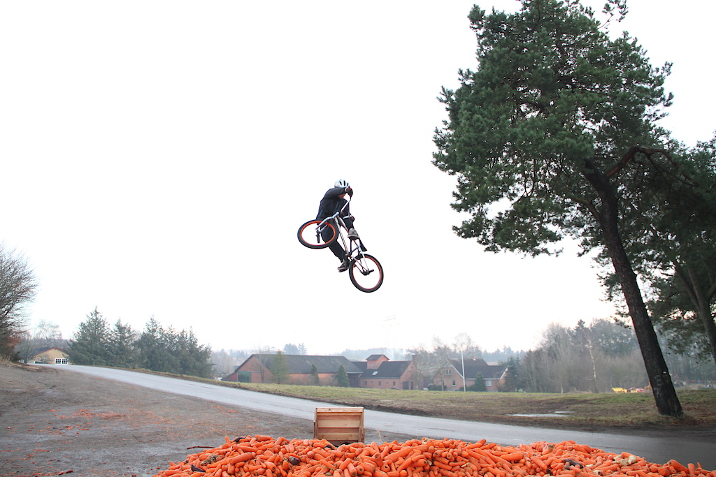 Jumping from a kicker into carrots!

Canon eos 7D - 18-135mm