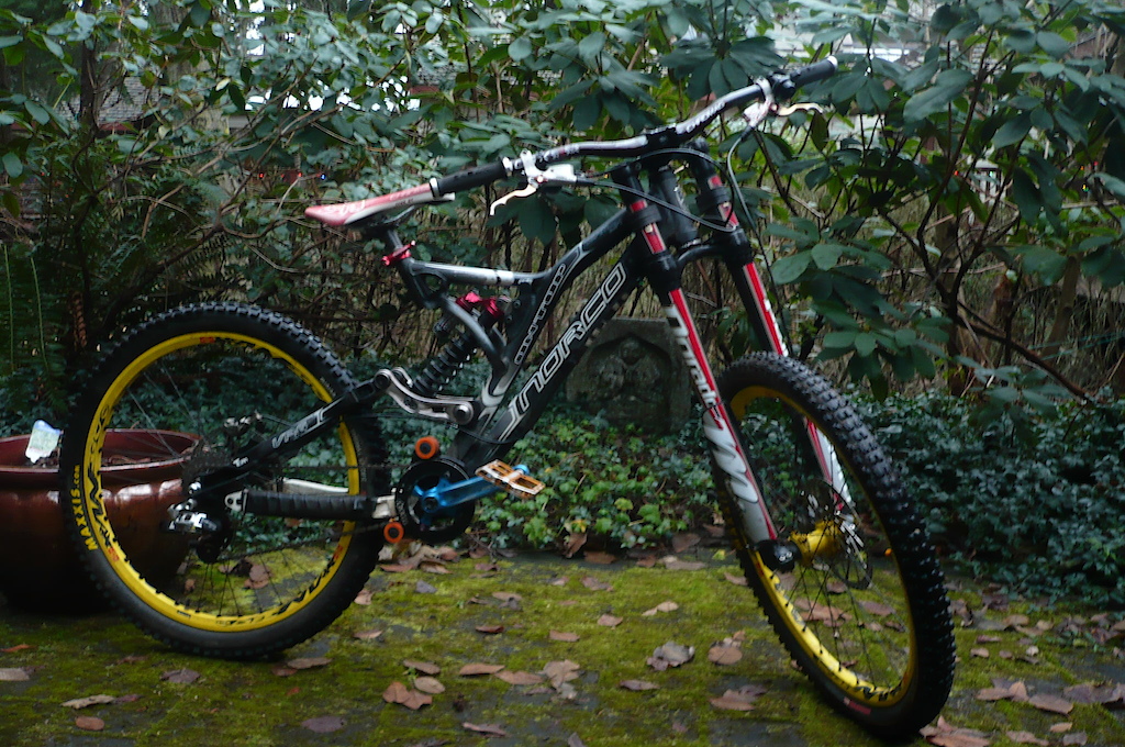 Biek