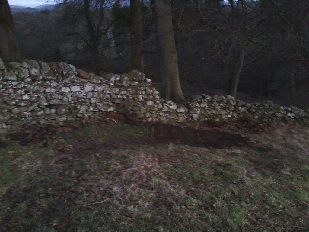 not very gid photo, thinking of making  DS here