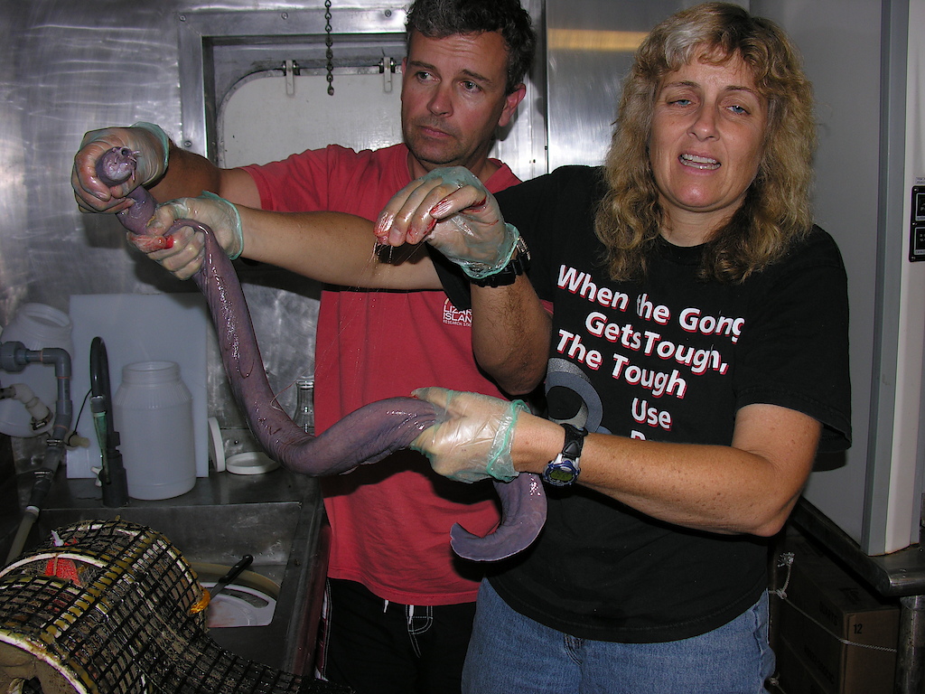 this is a hagfish. sick or what?