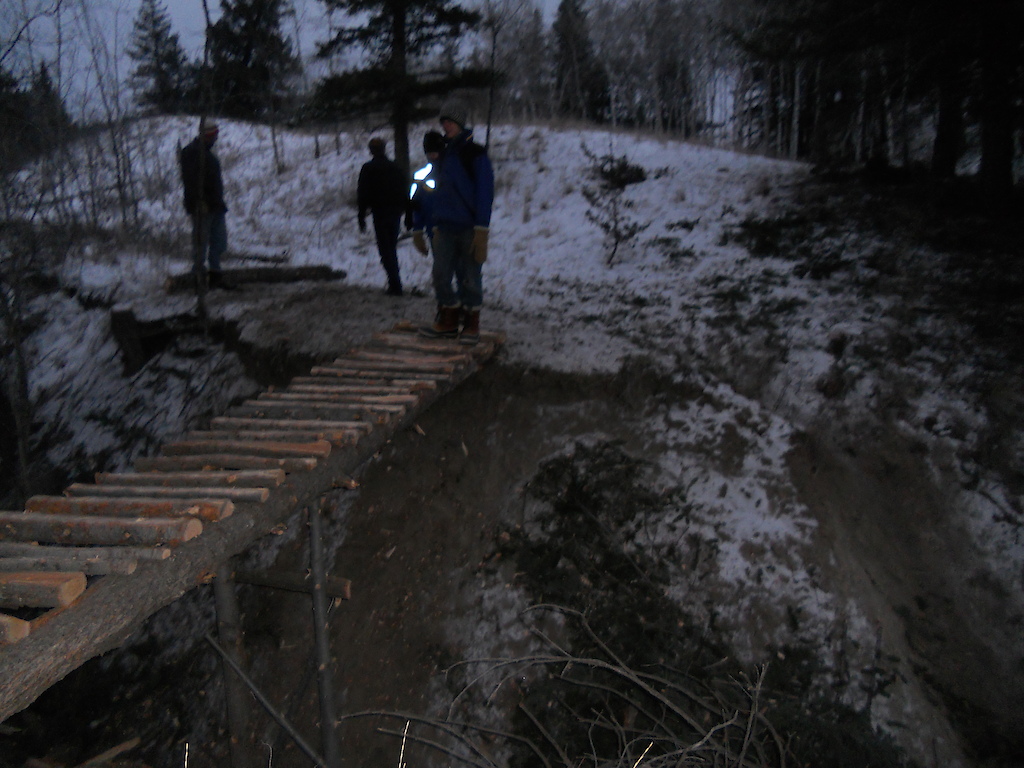 a ladder bridge me and my bro made for a trail were building