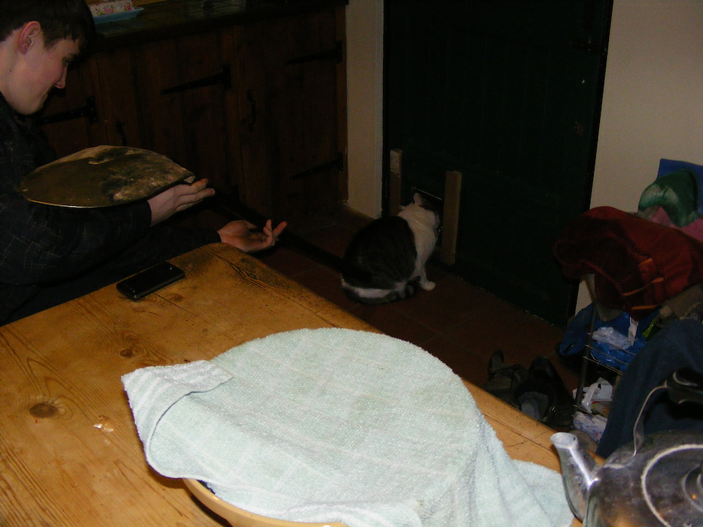 poking the cat
